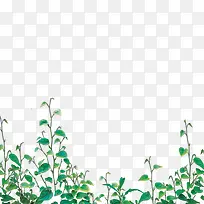 草-空若网 草-空若网