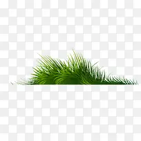 卡通绿草二装饰-空若网 卡通绿草二装饰-空若网