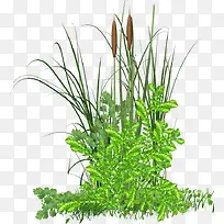 �ֻ������̲�װ��ֲ��-������