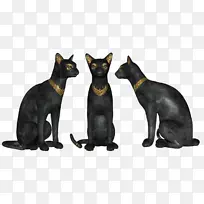 ����è��������ɫ��è���ö�ëè������-����-������