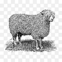 �ֻ�����-������