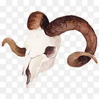 水彩绘画羊头-空若网 水彩绘画羊头-空若网