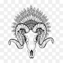 动物-空若网 动物-空若网