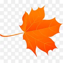 橙色枫叶四季背景素材-空若网 橙色枫叶四季背景素材-空若网