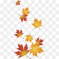 ��ɫ����ʱ�з�Ҷװ��-������