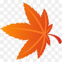 橙色枫叶装饰元素-空若网 橙色枫叶装饰元素-空若网