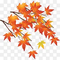 黄色枫叶树枝海报-空若网 黄色枫叶树枝海报-空若网