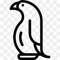 企鹅图标-空若网 企鹅图标-空若网