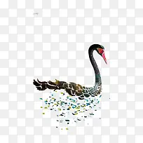 插画-空若网 插画-空若网