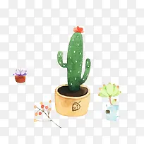 水彩仙人掌-空若网 水彩仙人掌-空若网