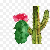 水彩手绘-空若网 水彩手绘-空若网