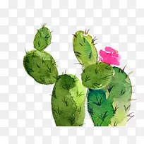 ˮ���ֻ�-������