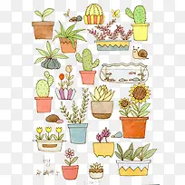 手绘仙人掌-空若网 手绘仙人掌-空若网