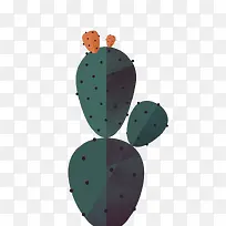 扁平化仙人掌-空若网 扁平化仙人掌-空若网