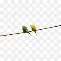 �������ɫ�ɰ�С��-������