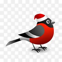 卡通鸟矢量图-空若网 卡通鸟矢量图-空若网