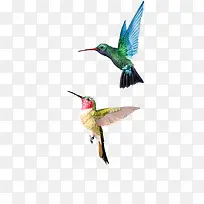 彩色飞鸟图案-空若网 彩色飞鸟图案-空若网