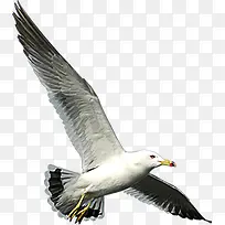 ˮī����������-������