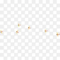 ����Ư��-������