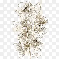 手绘线条创意花朵-空若网 手绘线条创意花朵-空若网