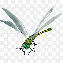 水墨画蜻蜓-空若网 水墨画蜻蜓-空若网