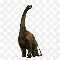 ��������-������