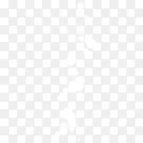 白色光点装饰-空若网 白色光点装饰-空若网