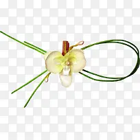 ��ɫ��װ��Ʒ-������