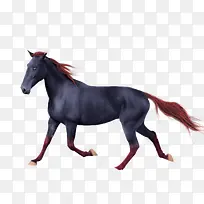 手绘马素材手绘马-空若网 手绘马素材手绘马-空若网