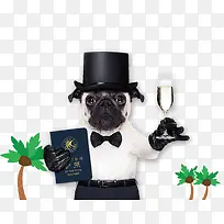 ���⿨ͨ-������