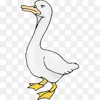 鸭子卡通图-空若网 鸭子卡通图-空若网