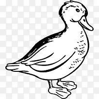 �ֻ� ��ͨ Ѽ��-������