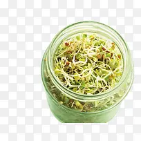 ²£Á§¹ÞÀïµÄ¶¹Ñ¿-¿ÕÈôÍø ²£Á§¹ÞÀïµÄ¶¹Ñ¿-¿ÕÈôÍø