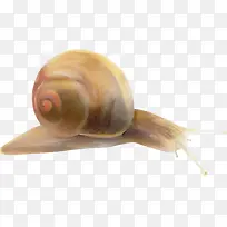 手绘蜗牛-空若网 手绘蜗牛-空若网