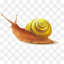 蜗牛装饰矢量素材-空若网 蜗牛装饰矢量素材-空若网