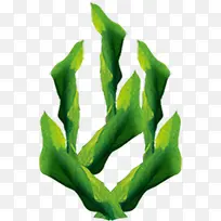 海草-空若网 海草-空若网