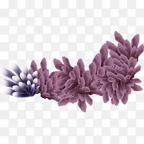 ��ɫ��������-������