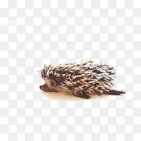 ���-������