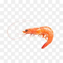 产品实物食物海鲜虾子-空若网 产品实物食物海鲜虾子-空若网