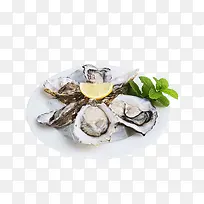 蛤蜊-空若网 蛤蜊-空若网