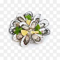 蛤蜊-空若网 蛤蜊-空若网