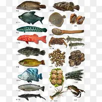 海鲜-空若网 海鲜-空若网