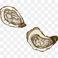 矢量海鲜生蚝-空若网 矢量海鲜生蚝-空若网