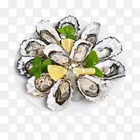 一盘好吃的生蚝-空若网 一盘好吃的生蚝-空若网