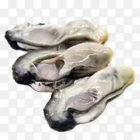 �ְ������-������