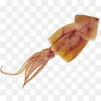 ��Ʒʵ������-������