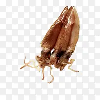 ����-������