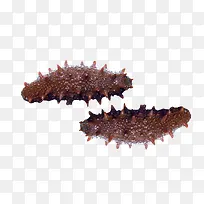 海鲜食物-空若网 海鲜食物-空若网