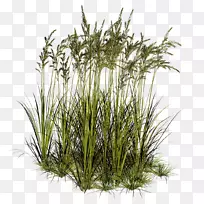 �ݱ�ֲ�������רҵ������-��-������