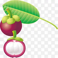 李子png矢量素材-空若网 李子png矢量素材-空若网